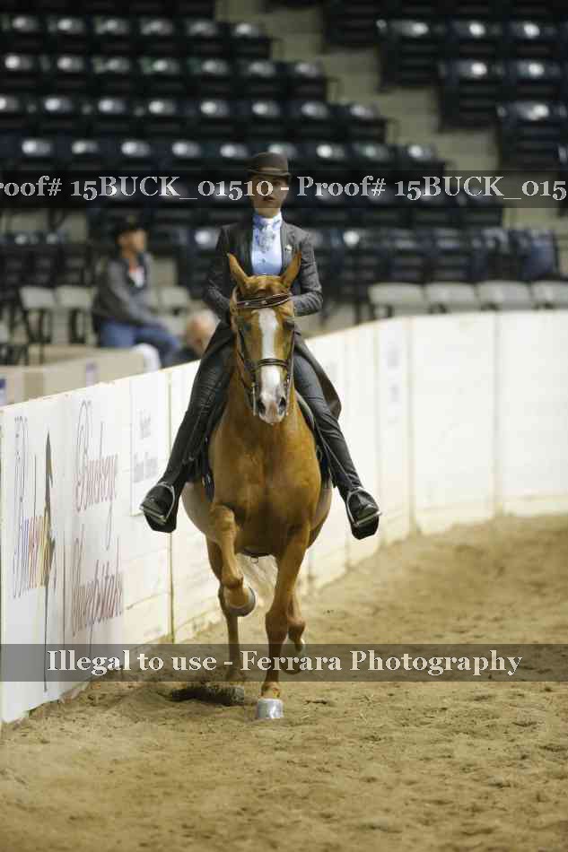 Proof 15BUCK_01510