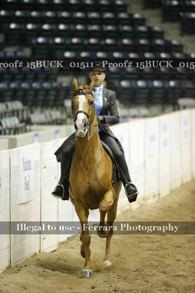 Proof 15BUCK_01511