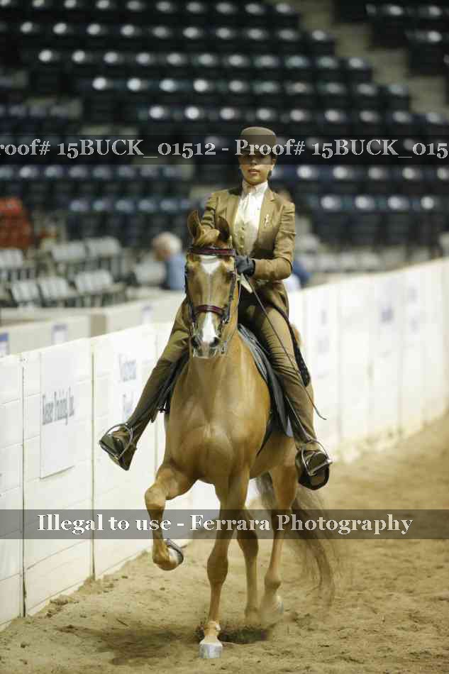 Proof 15BUCK_01512