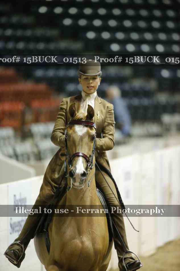 Proof 15BUCK_01513