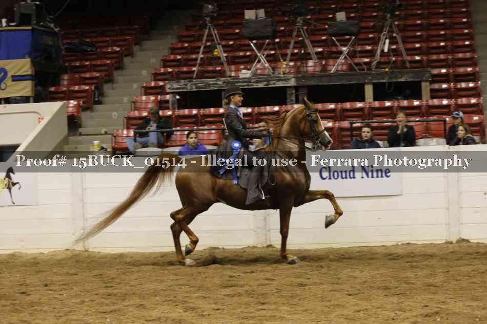 Proof 15BUCK_01514