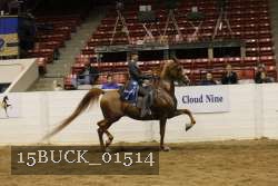 15BUCK_01514 proof