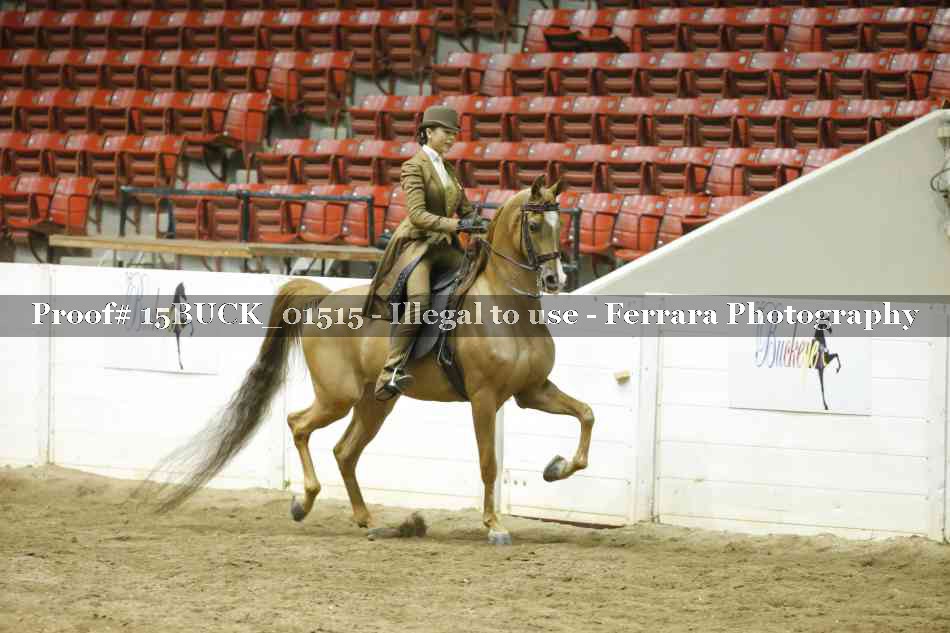 Proof 15BUCK_01515