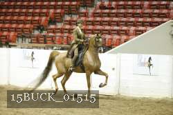 15BUCK_01515 proof