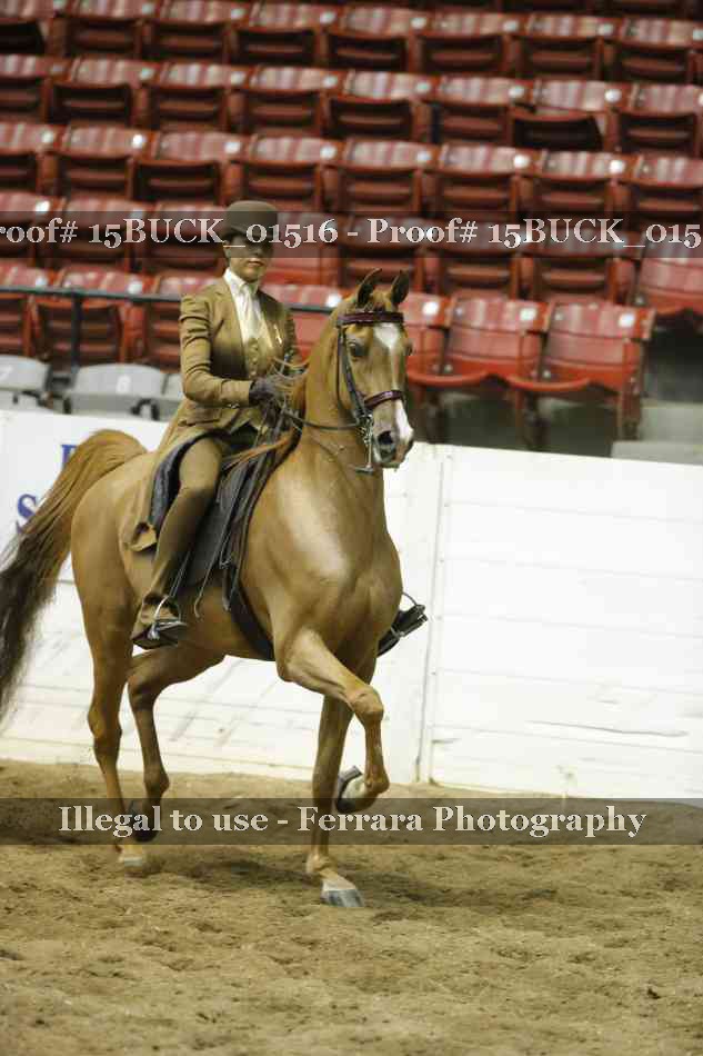 Proof 15BUCK_01516