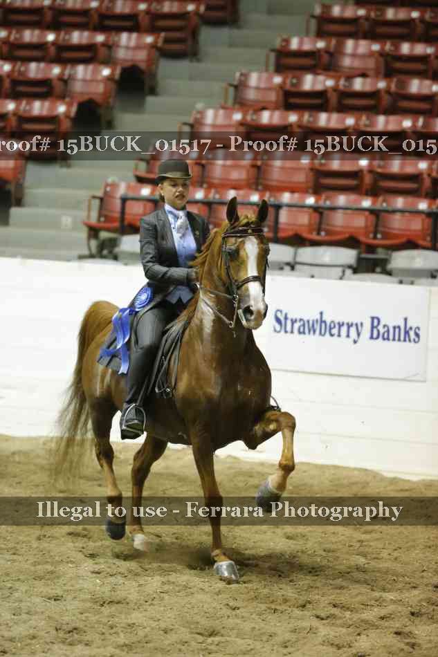 Proof 15BUCK_01517