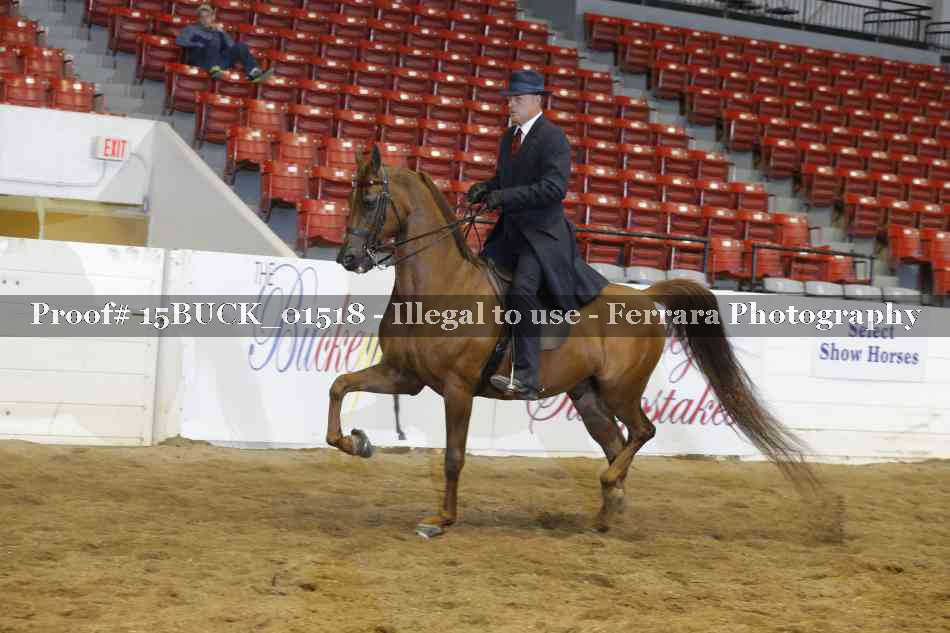 Proof 15BUCK_01518