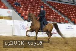 15BUCK_01518 proof