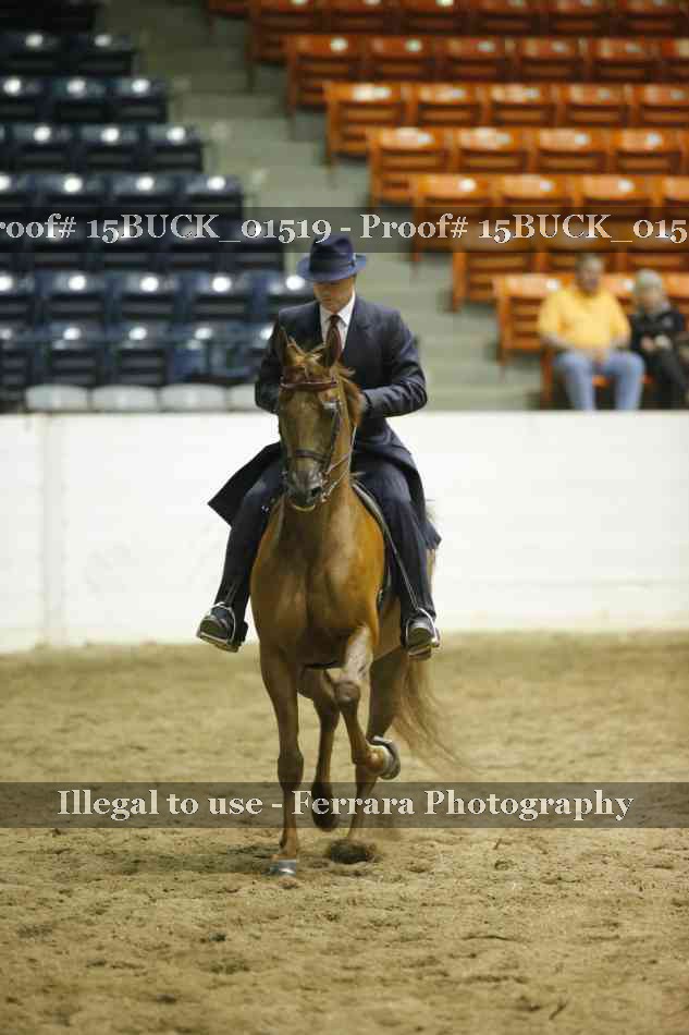 Proof 15BUCK_01519