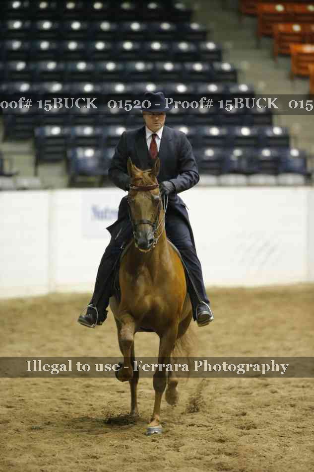 Proof 15BUCK_01520