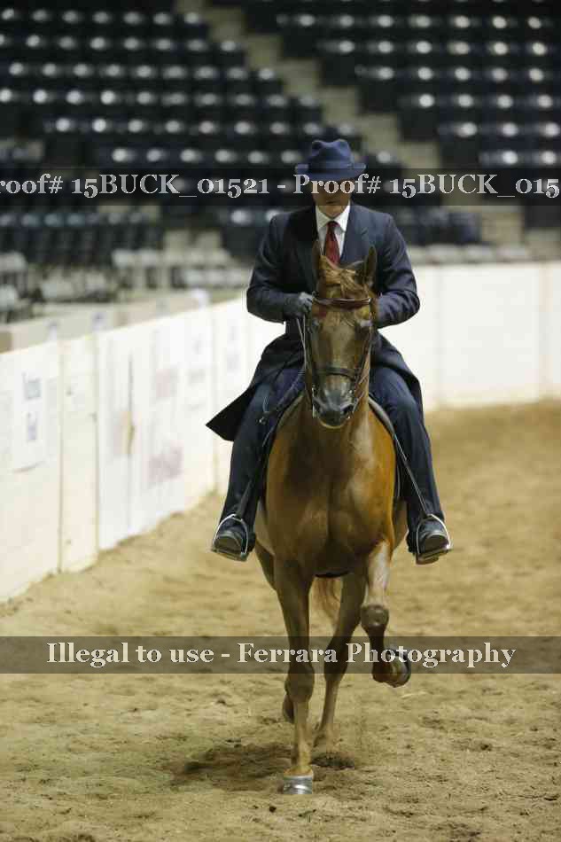 Proof 15BUCK_01521