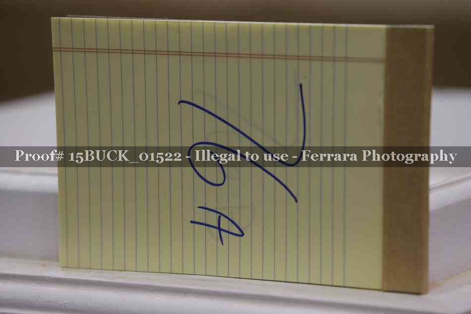Proof 15BUCK_01522