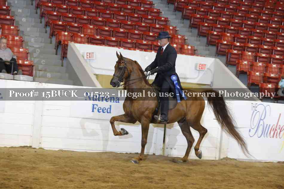 Proof 15BUCK_01523
