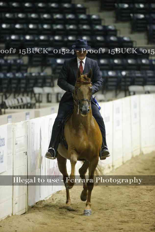 Proof 15BUCK_01524