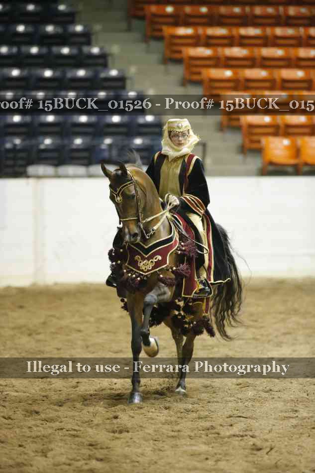 Proof 15BUCK_01526