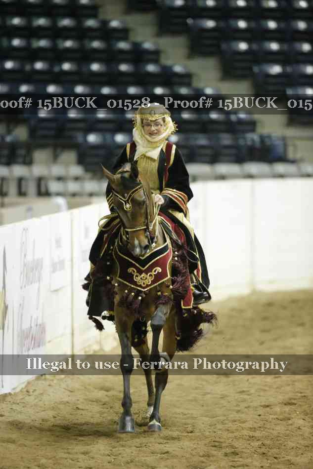 Proof 15BUCK_01528