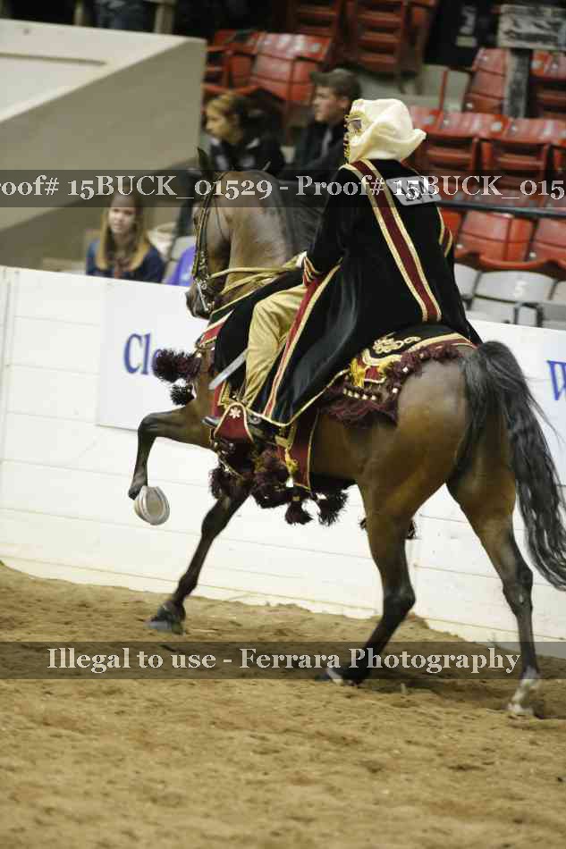 Proof 15BUCK_01529