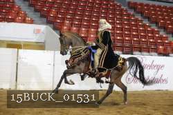 15BUCK_01531 proof