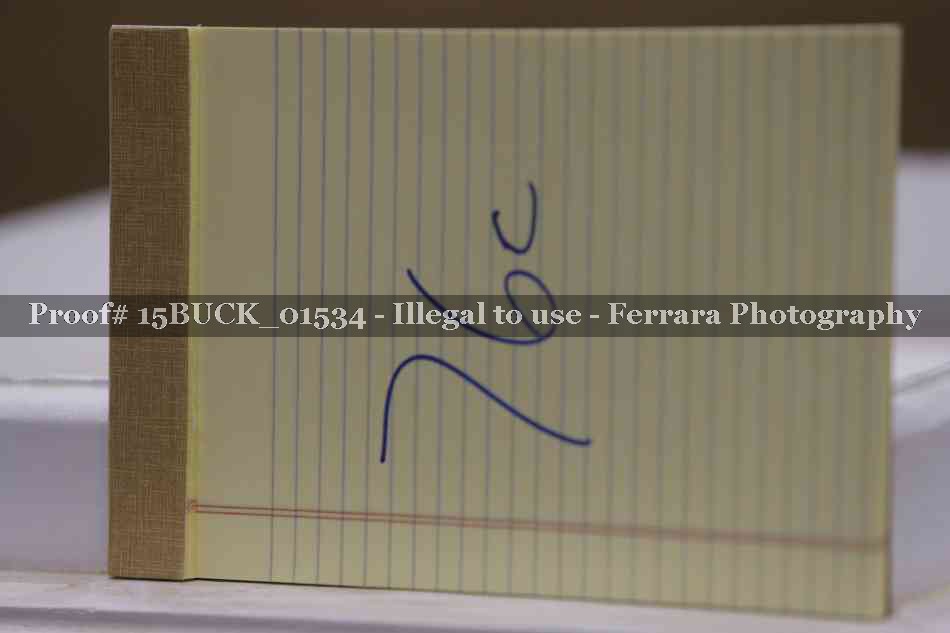 Proof 15BUCK_01534