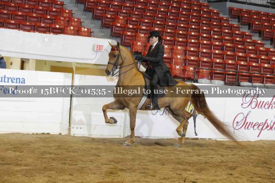 Proof 15BUCK_01535
