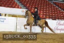 15BUCK_01535 proof