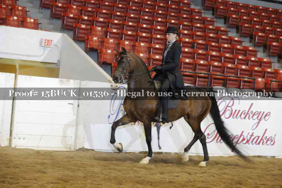 Proof 15BUCK_01536