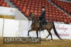 15BUCK_01536 proof