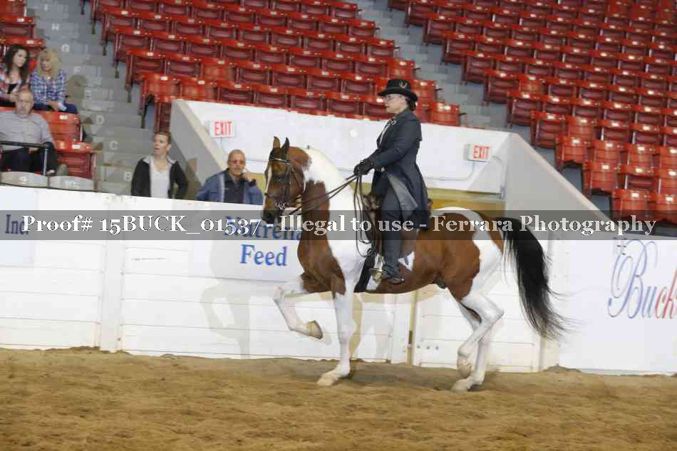 Proof 15BUCK_01537
