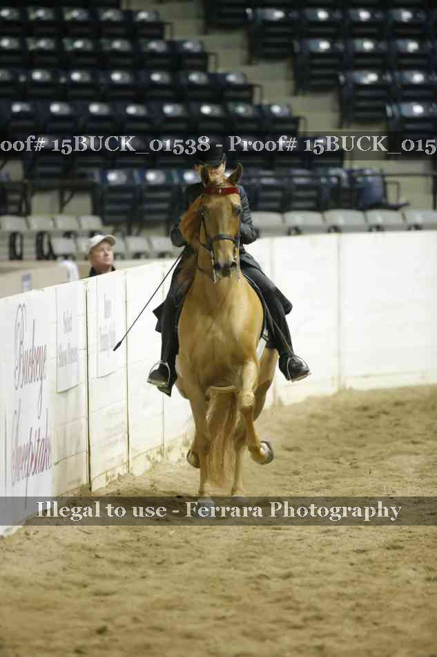 Proof 15BUCK_01538
