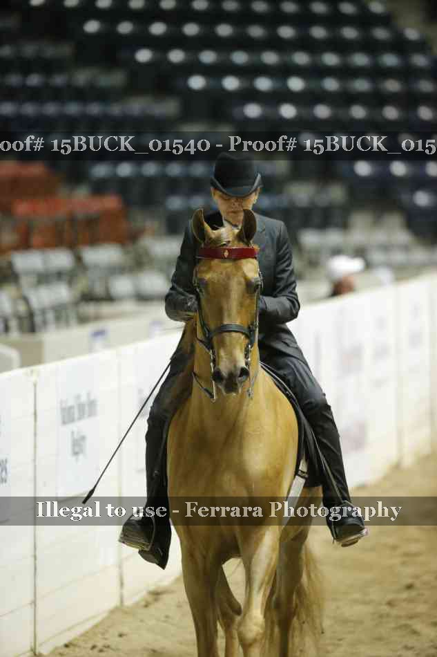 Proof 15BUCK_01540