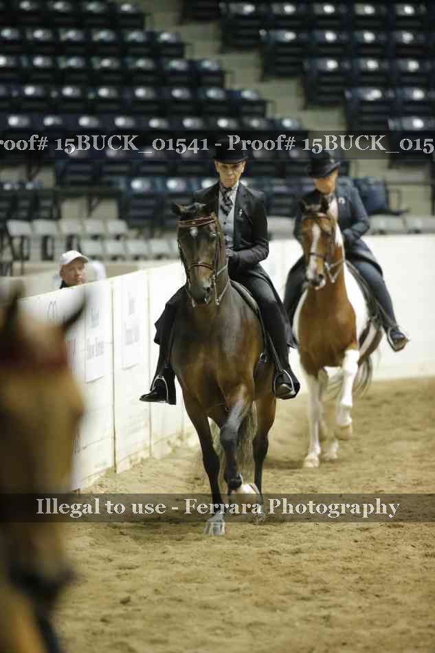 Proof 15BUCK_01541