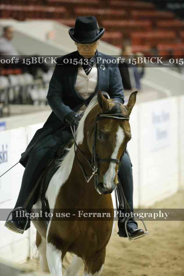 Proof 15BUCK_01543
