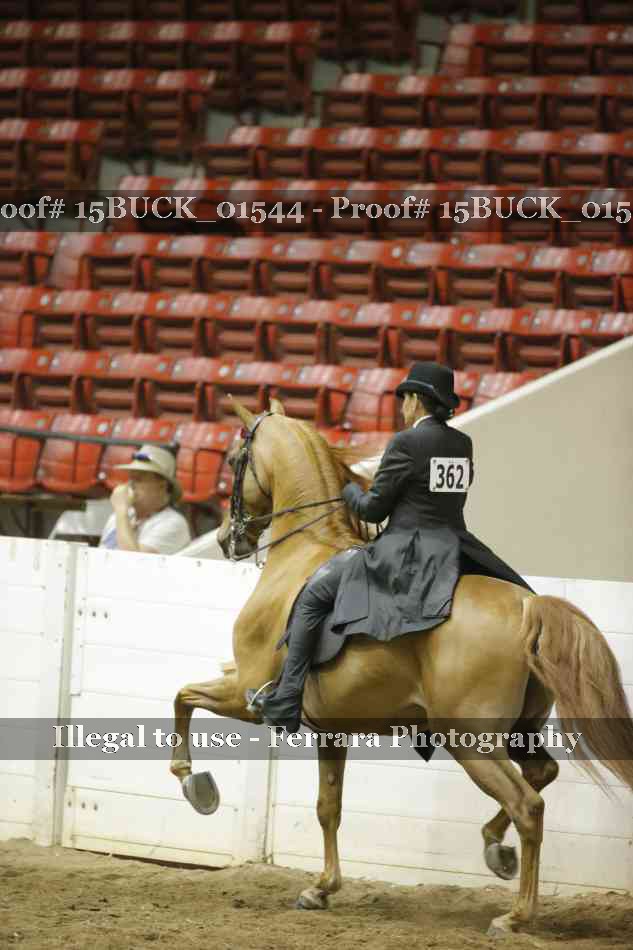 Proof 15BUCK_01544