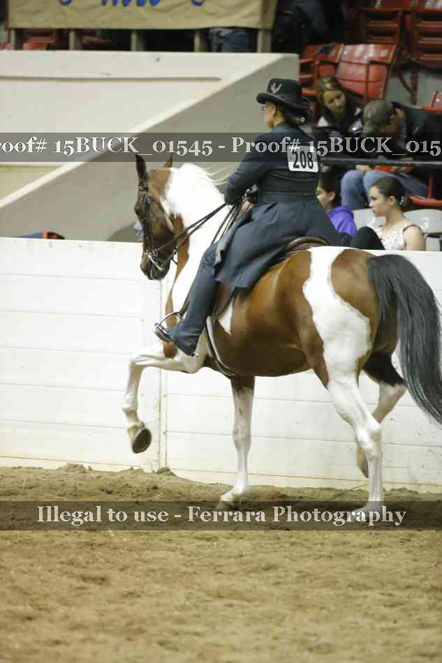 Proof 15BUCK_01545