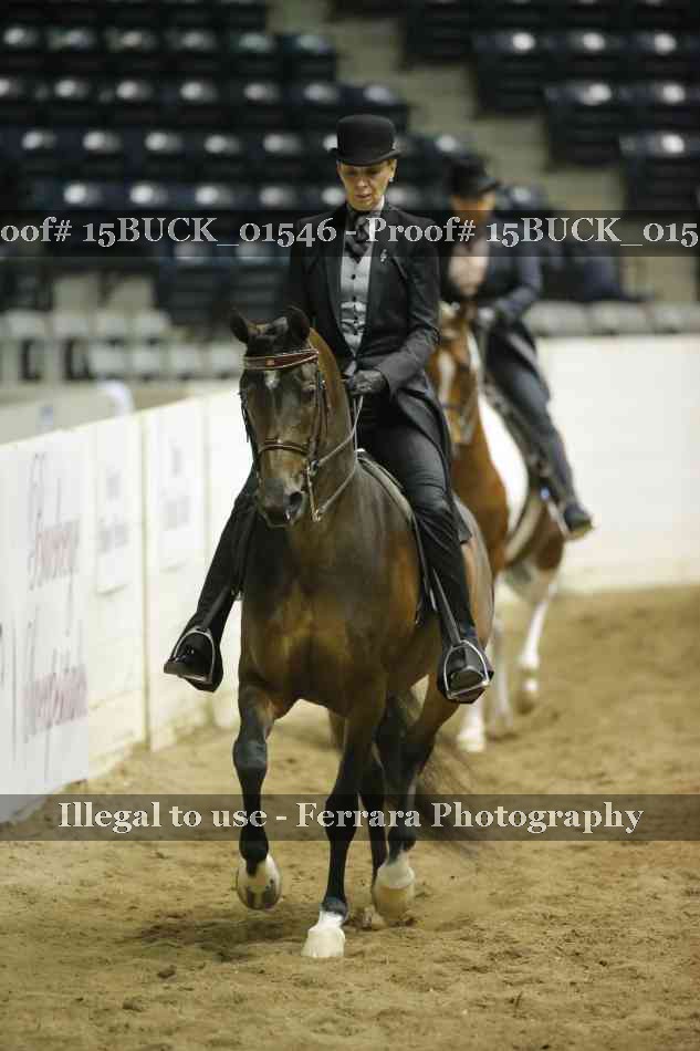 Proof 15BUCK_01546