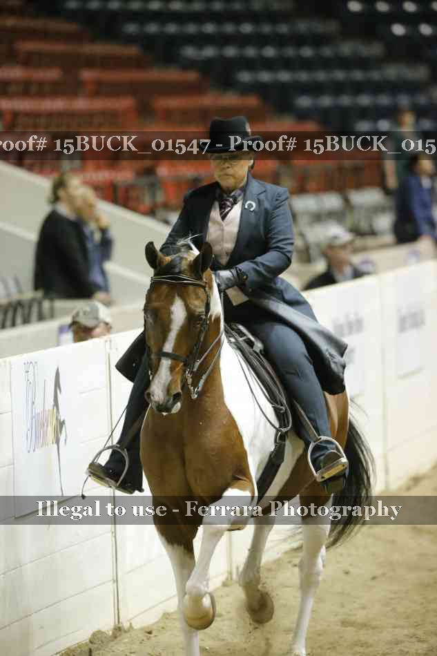 Proof 15BUCK_01547
