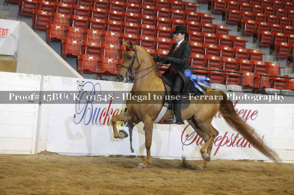 Proof 15BUCK_01548