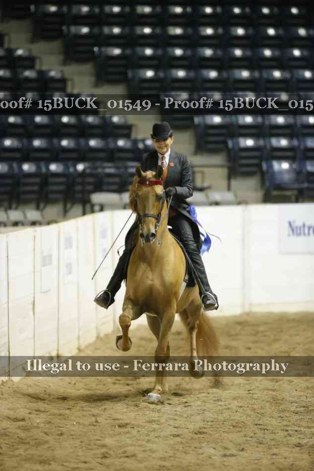 Proof 15BUCK_01549