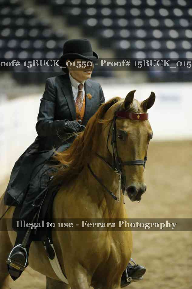 Proof 15BUCK_01550