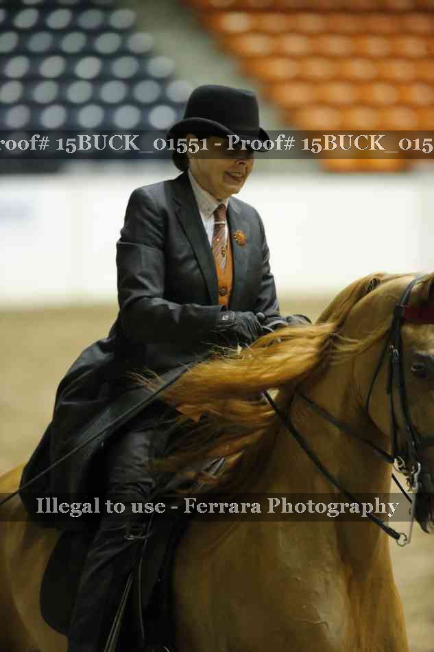 Proof 15BUCK_01551