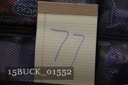 15BUCK_01552 proof
