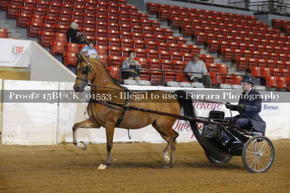 Proof 15BUCK_01553