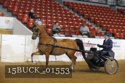 15BUCK_01553 proof