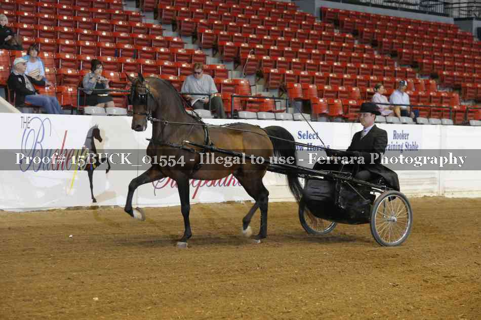 Proof 15BUCK_01554