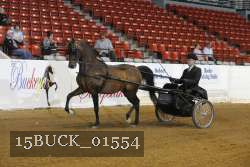 15BUCK_01554 proof
