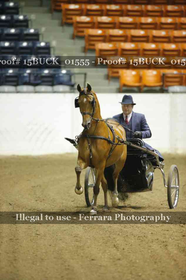 Proof 15BUCK_01555