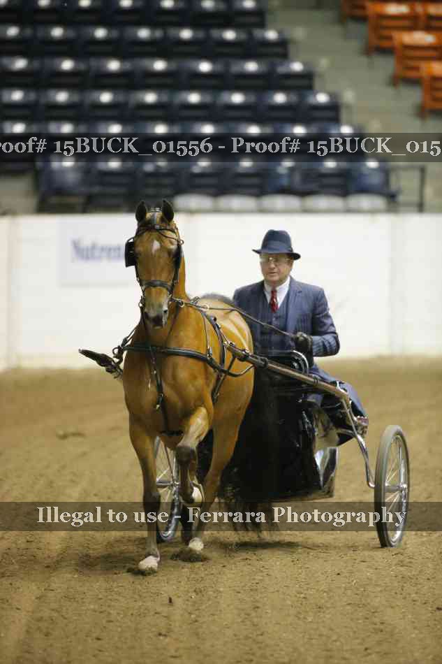 Proof 15BUCK_01556