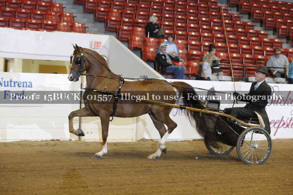 Proof 15BUCK_01557