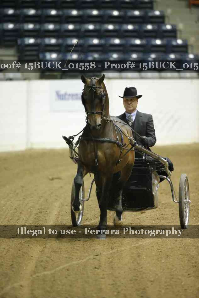Proof 15BUCK_01558