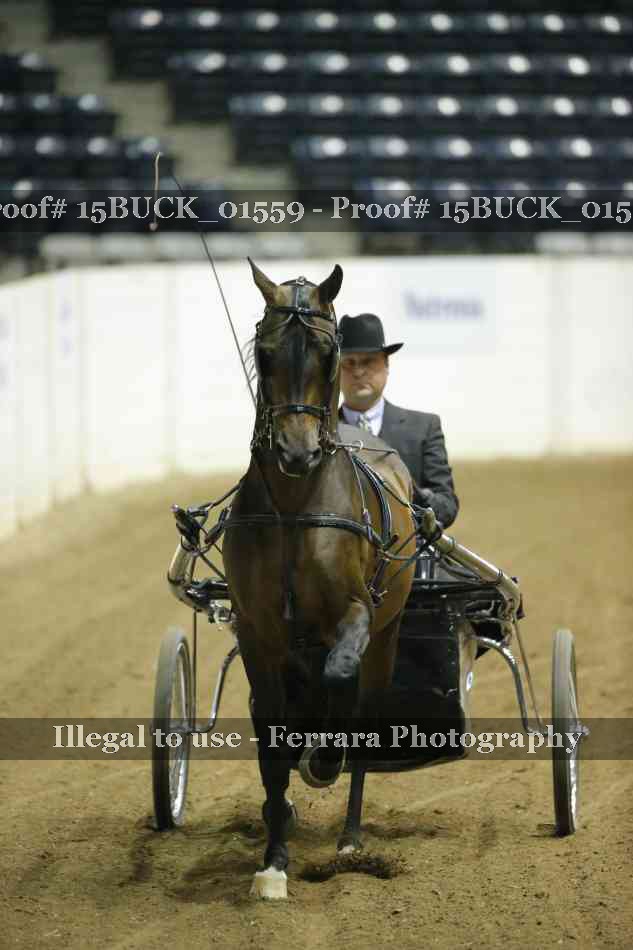 Proof 15BUCK_01559